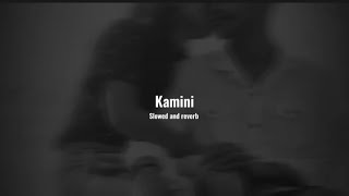 KAMINI SLOWED AND REVERB [upl. by Eltsyek774]