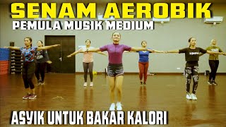 Senam aerobik  Lagu kemerdekaan Indonesia untuk pemula lapangan [upl. by Ramon]