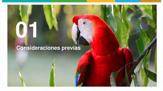 Exportación de especies productos y subproductos de flora y fauna silvestre CITES  11 septiembre [upl. by Knick892]