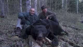 238 Yard Shot On This Trophy Black Bear Spot amp Stalk Hunting with Willow Creek Outfitters [upl. by Mychael]