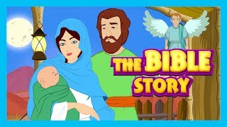 The Bible Story  Stories of Jesus  Bible and Other Story Collection For Kids [upl. by Buine980]