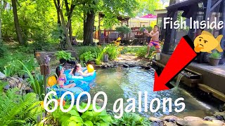 Recreation swim koi pond DIY build 6000 gallons expanding old 1000 gal koi pond [upl. by Allyson278]