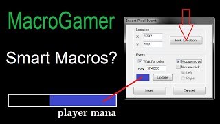 Pixel Color Detection with MacroGamer [upl. by Cirala]