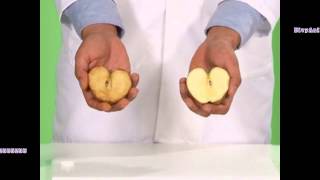 Nutrilite Bio C Demo [upl. by Levy]