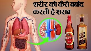 ये देखने के बाद शायद आप शराब को छुएं भी ना How alcohol affects our body [upl. by Ettennig887]