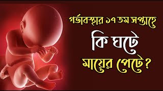 গর্ভাবস্থার ১৭ তম সপ্তাহ ।17 Weeks Pregnant ।Pregnancy Week by Week Bangla ।17 Weeks Pregnant Bangla [upl. by Oisor]