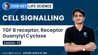 Tgf B Receptor Receptor Guanylyl Cyclase Cell Signalling For CSIR NET GATE [upl. by Buffo765]