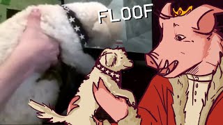 every instance of floof being shown on camera  technoblades dog [upl. by Rehpitsirhc277]