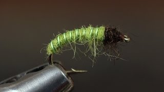 Green Caddis Larva [upl. by Annasor73]