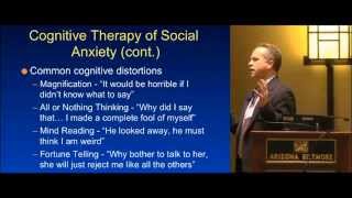 Dr Joseph Himle quotSocial Anxiety A Hidden Disorderquot [upl. by Tedric]