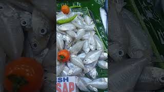 Sapsap fish fresh na freshtabaJan72024840am [upl. by Alisander]