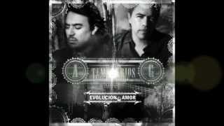 LOS TEMERARIOS ERES UN SUENO [upl. by Yecal]