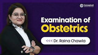 Examination of Obstetrics  Dr Raina Chawla  Conceptual OBG  eConceptual [upl. by Gustin]