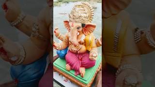 ప్రొద్దుటూరులో విగ్రహాలు నిమర్జనం DAY 8😍ganpati vlog vinayakaidols festivalvibes kadapa viral [upl. by Codd213]