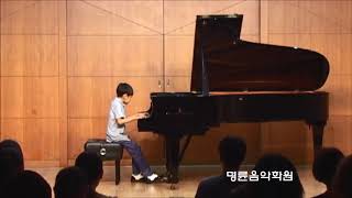 Chopin Grande Valse brillante 쇼팽 화려한 대왈츠 [upl. by Fanchan]