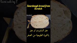 Sourdough bread from scratchخبز الساوردو او خبز بالخميرة الطبيعية من أ إلى ي الفيديو كامل على قناتي [upl. by Amsirhc587]