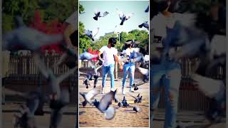 romantic status video tu mera koi na hoke bhi kuch lage status status shortvideo shorts [upl. by Lisette]