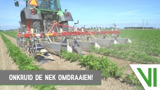 Zo draai je ONKRUID de nek om  Mechanische onkruidbestrijding  Victor Video [upl. by Ellerahs]