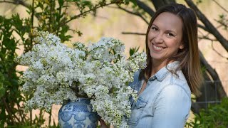 Keep Cut Lilacs Looking Fresh for Longer with these Tips  Northlawn Flower Farm [upl. by Aivatnuahs]