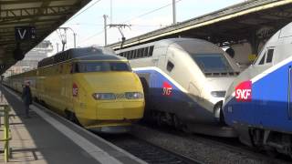 TGV cargo Euro Carex à Paris gare de Lyon [upl. by Salena]