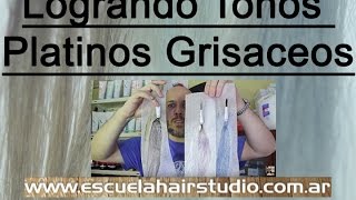 Logrando Tonos Platinos Grisaceos [upl. by Sinclare458]