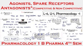 Agonists  Antagonist  Spare Receptors  L6 U1  pharmacology 4th semester [upl. by Anirtruc589]