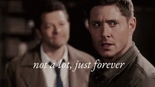 destiel  not a lot just forever [upl. by Leirvag]