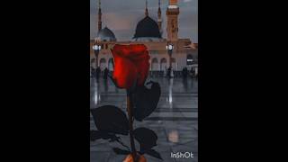 Ek tera ho ishara Shan ho Manzil♥️islamicvideo shortsfeed viralvideo [upl. by Tnilf]