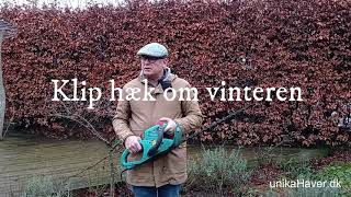 Klip hæk om vinteren [upl. by Katzir]