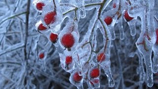 Jorma Hynninen Ralf Gothóni quotFrühlingstraumquot aus Schuberts Winterreise [upl. by Ecad456]