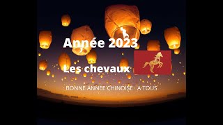 🐴 Cheval signe astrologique chinois pour lannée 2023 🐴 [upl. by Blight]