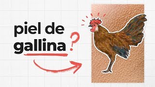 ¿Por qué se nos pone la piel de gallina [upl. by Nehgam217]