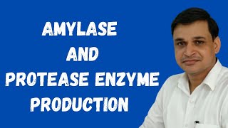 How to produce amylase and protease enzymes using microorganisms [upl. by Llenahs]