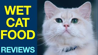 What amp How to Feed Kittens age 4 to 6 Weeks old [upl. by Ssilb]