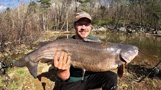 Bank Fishing Success How I Land Big Catfish Catch and Cook FAIL [upl. by Evaleen]