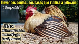 élever des poules quelques conseils alimentation vermifuge [upl. by Shaefer967]