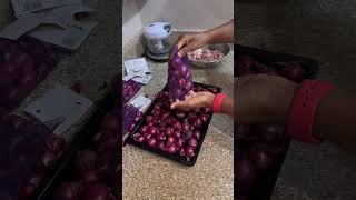 Ivalavu kamiya kedaikathu Sep 1 subscribe shorts youtubeshorts trending cooking vlog [upl. by Ano867]