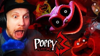 Der DRITTE TEIL WAR STRESS PUR😭 POPPY PLAYTIME Chapter 3 [upl. by Neeham135]