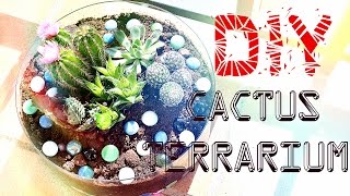 DIY Cactus Terrarium  SWEET HOME [upl. by Annot523]