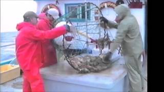 Snow crab fishing on the Tonya Denise [upl. by Iffar]