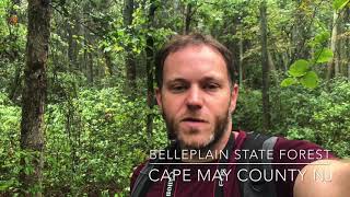 Exploring Belleplain State Forest [upl. by Zeni]