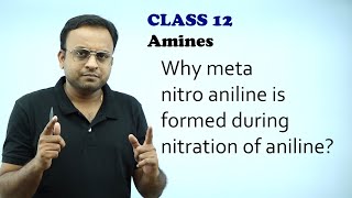 Why meta nitro aniline is formed during nitration of anilineNitrogen containing organic compounds [upl. by Vashtee]