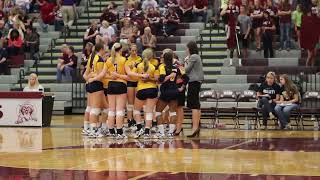 Lionettes Volleyball V Plano news [upl. by Shanly435]