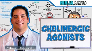 Autonomic Pharmacology  Cholinergic Agonists [upl. by Doelling811]