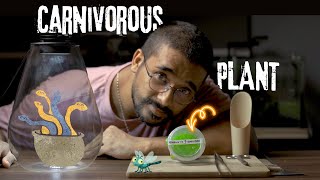 Beginners Carnivorous Plant  Terrarium  EP  256 [upl. by Theodoric696]