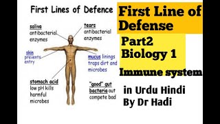 Immunity First line of defense Lec2 Bio1 in Urdu Hindi By Dr Hadi [upl. by Koziara511]