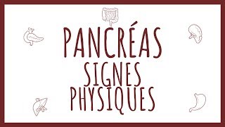 Sémiologie Pancréas  Signes Physiques [upl. by Ahseram]