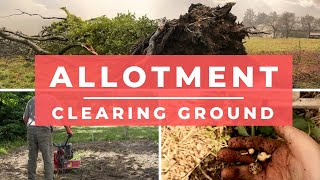 How to clear an Allotment  Allotments for beginners  vegetable gardening [upl. by Anne641]