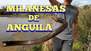 Milanesas de anguila en Pesca en agua dulce [upl. by Ariaec]