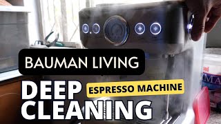 Deep Clean Espresso coffee Machine DESCALING tips [upl. by Lamhaj]